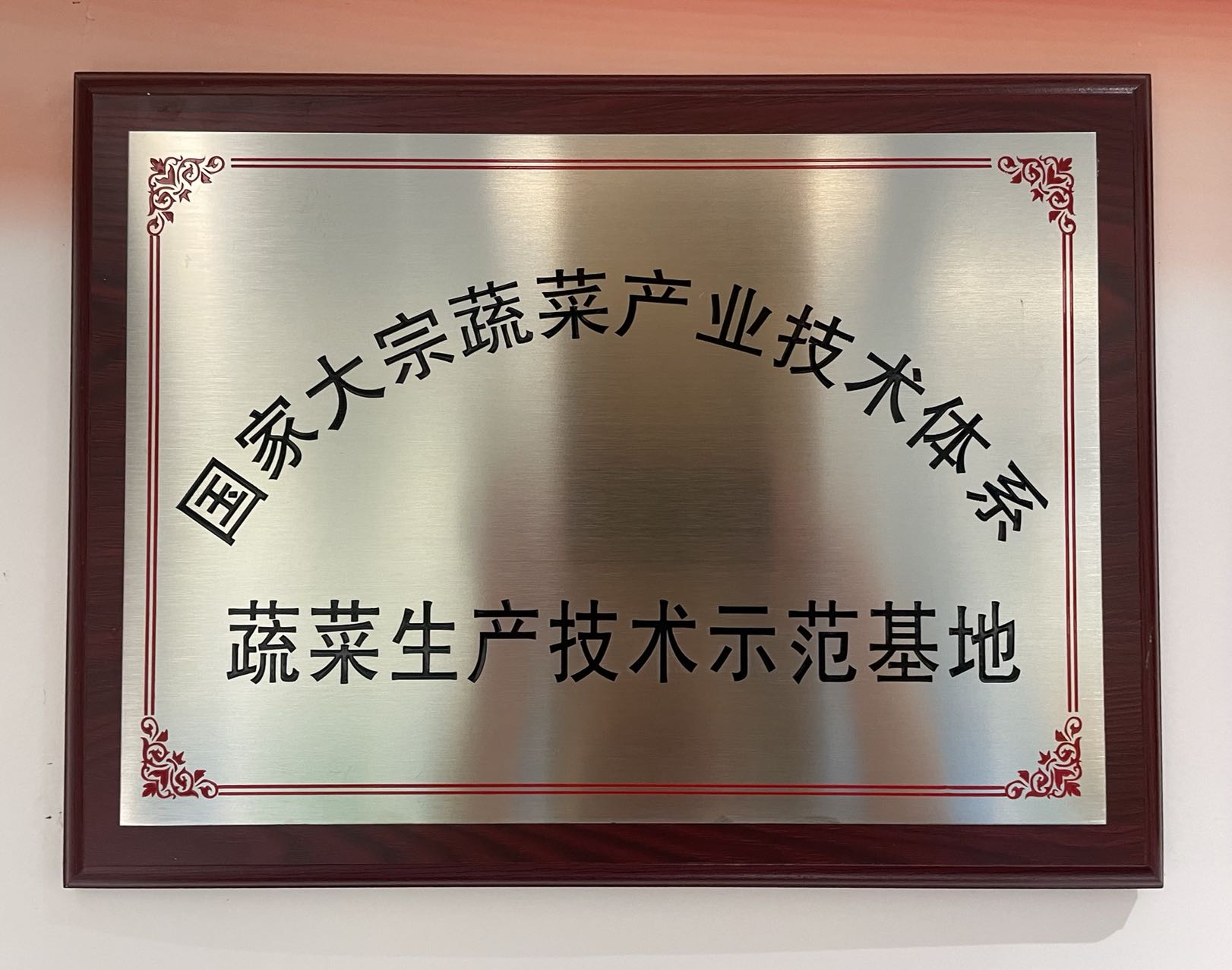 國家大宗蔬菜產業技術體系—蔬菜生產技術示范基地